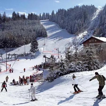 Chalet Le D'aline Gerardmer